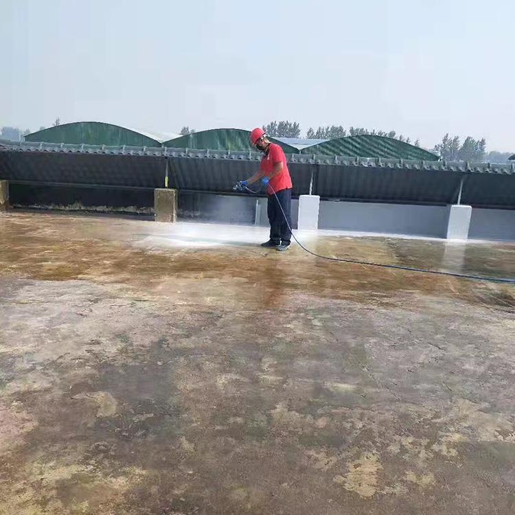 聚脲施工在復雜場景下的應用解決方案